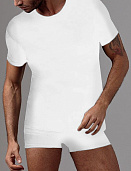 Футболка муж. Gasoline Blu