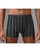 Трусы Gentlemen