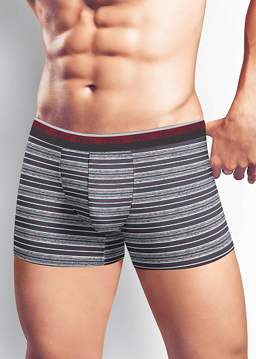 Трусы муж. Clever