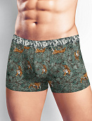 Трусы муж. Clever