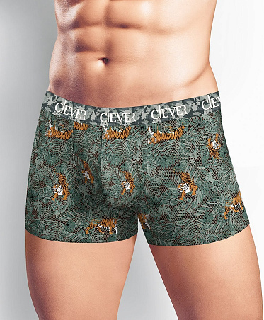 Трусы муж. Clever