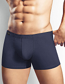 Трусы муж. Clever