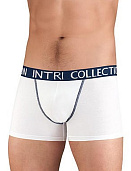 Трусы муж. Intri