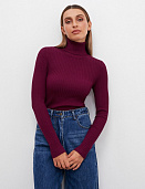 Водолазка Conso