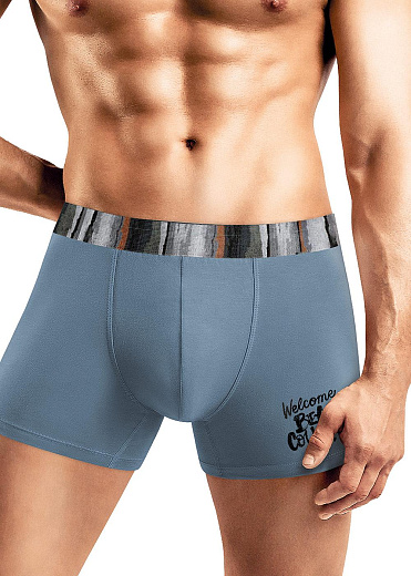 Трусы муж. Clever