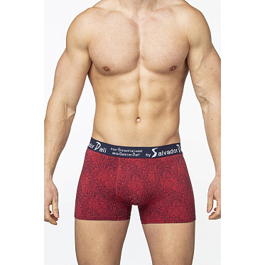 Трусы муж. Salvador Dali