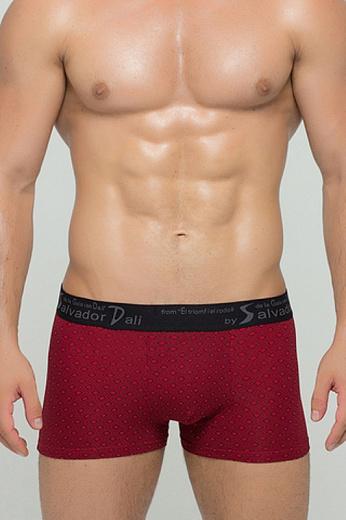 Трусы муж. Salvador Dali