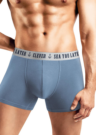 Трусы муж. Clever