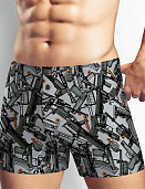 Трусы муж. Clever