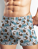 Трусы муж. Clever