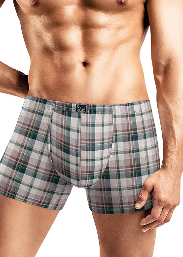 Трусы муж. Clever