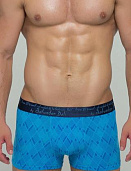 Трусы муж. Salvador Dali