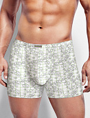 Трусы муж. Clever