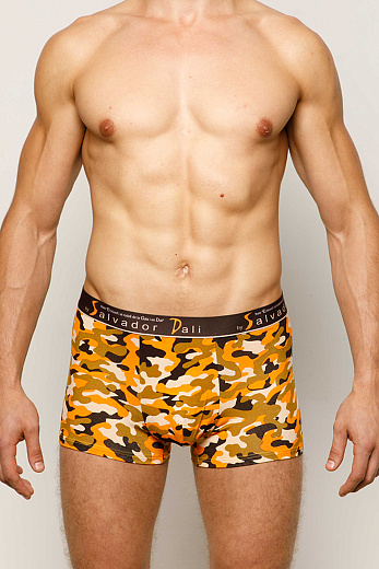 Трусы муж. Salvador Dali