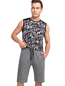 Шорты муж. Clever