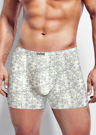 Трусы муж. Clever