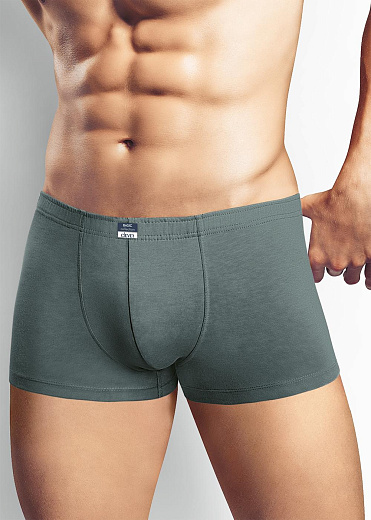 Трусы муж. Clever