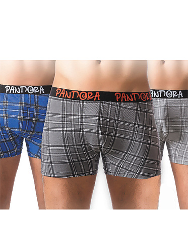 Трусы Pandora