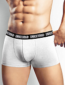 Трусы муж. Clever