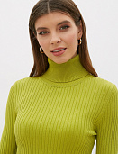 Водолазка Conso